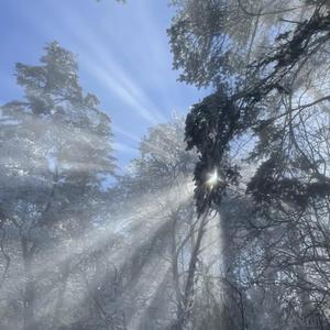 free性欧美婬妇xXXX3D
