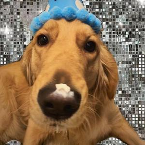 free性欧美婬妇xXXX3D
